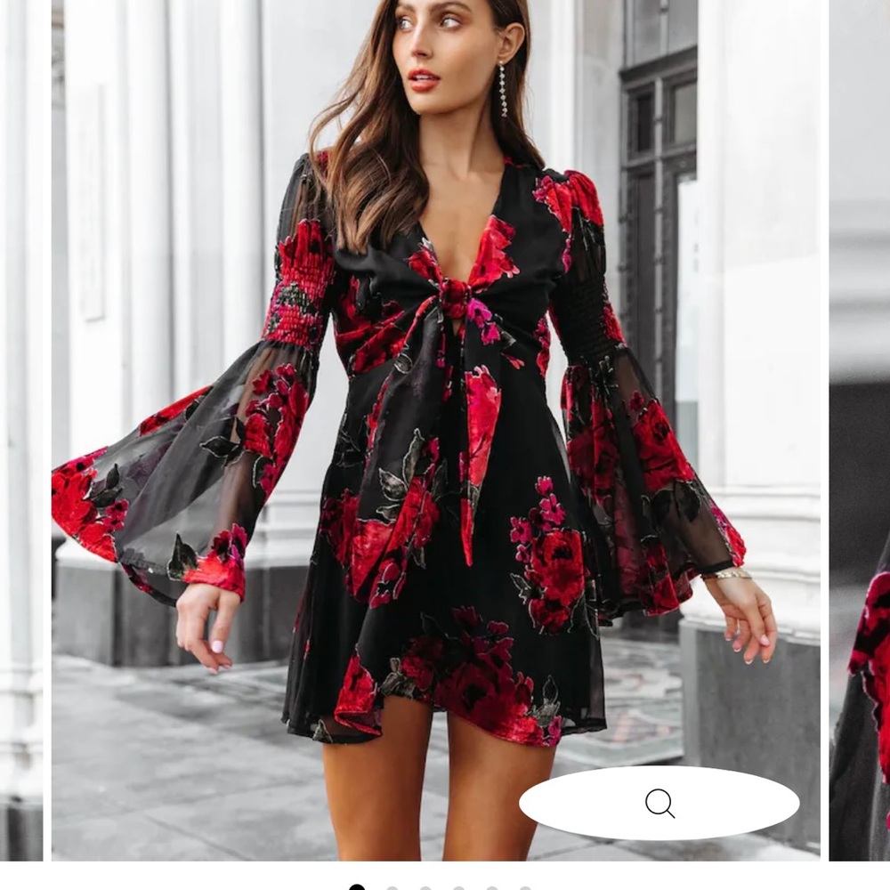 Velvet Bell Sleeve Vici Dress